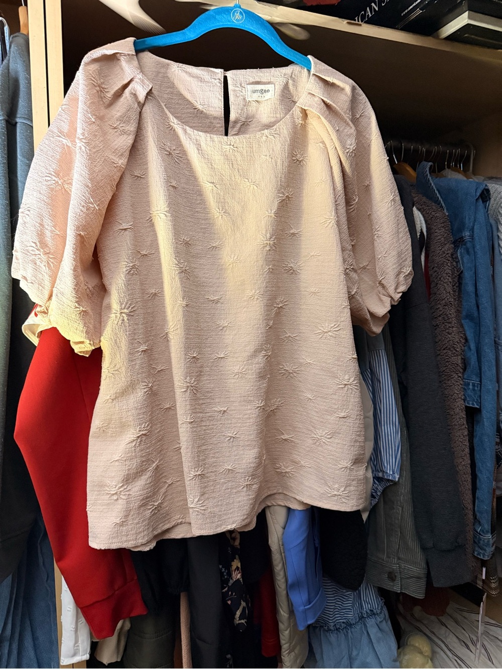 Umgee Blush Textured Puff-Sleeve Blouse